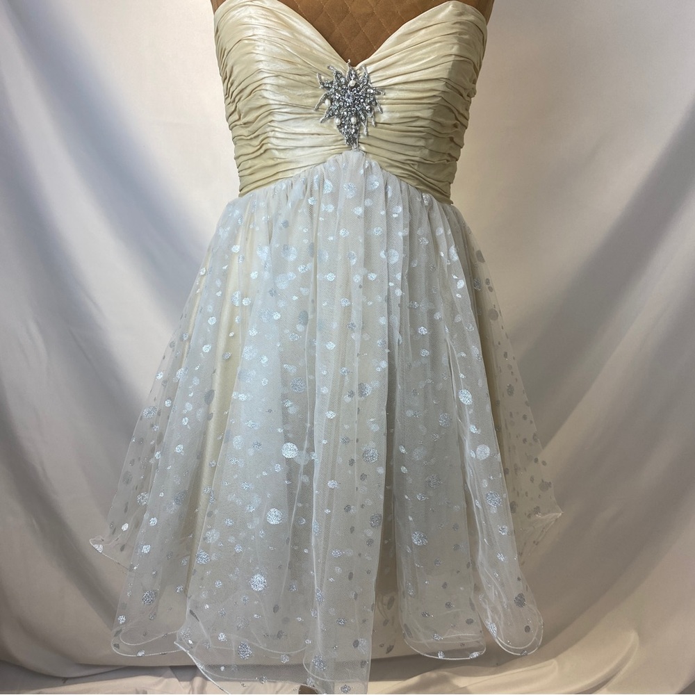 Prom or party dress